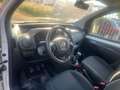 Fiat Fiorino Basis Kasten Weiß - thumbnail 10