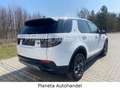 Land Rover Discovery Sport S AWD Mild-Hybrid*NAVI*CAM*EURO6 White - thumbnail 5