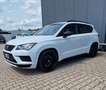 CUPRA Ateca 2,0 TSI DSG 4Drive*PanoDach*AHK* Weiß - thumbnail 1