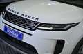 Land Rover Range Rover Evoque 2.0 D163 AUTO 4WD MHEV Blanc - thumbnail 21