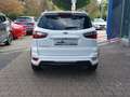 Ford EcoSport ''ST-Line'' 1,0L EcoBoost - Verkehrszeichenerkennu Weiß - thumbnail 12