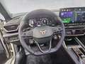 CUPRA Leon Sportstourer  2.0 TDI DSG AHK Sennheiser Gris - thumbnail 11