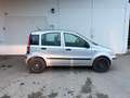Fiat Panda Panda 1,1 ECO Active ECO Active Silber - thumbnail 5