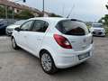 Opel Corsa Corsa IV 2010 5p 1.2 Edition (elect) Gpl-tech 85cv Blanc - thumbnail 5