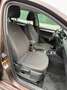 Skoda Octavia Ambition 4x4 Braun - thumbnail 13