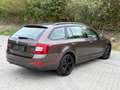 Skoda Octavia Ambition 4x4 Braun - thumbnail 6