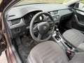 Skoda Octavia Ambition 4x4 Braun - thumbnail 10
