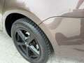 Skoda Octavia Ambition 4x4 Braun - thumbnail 17