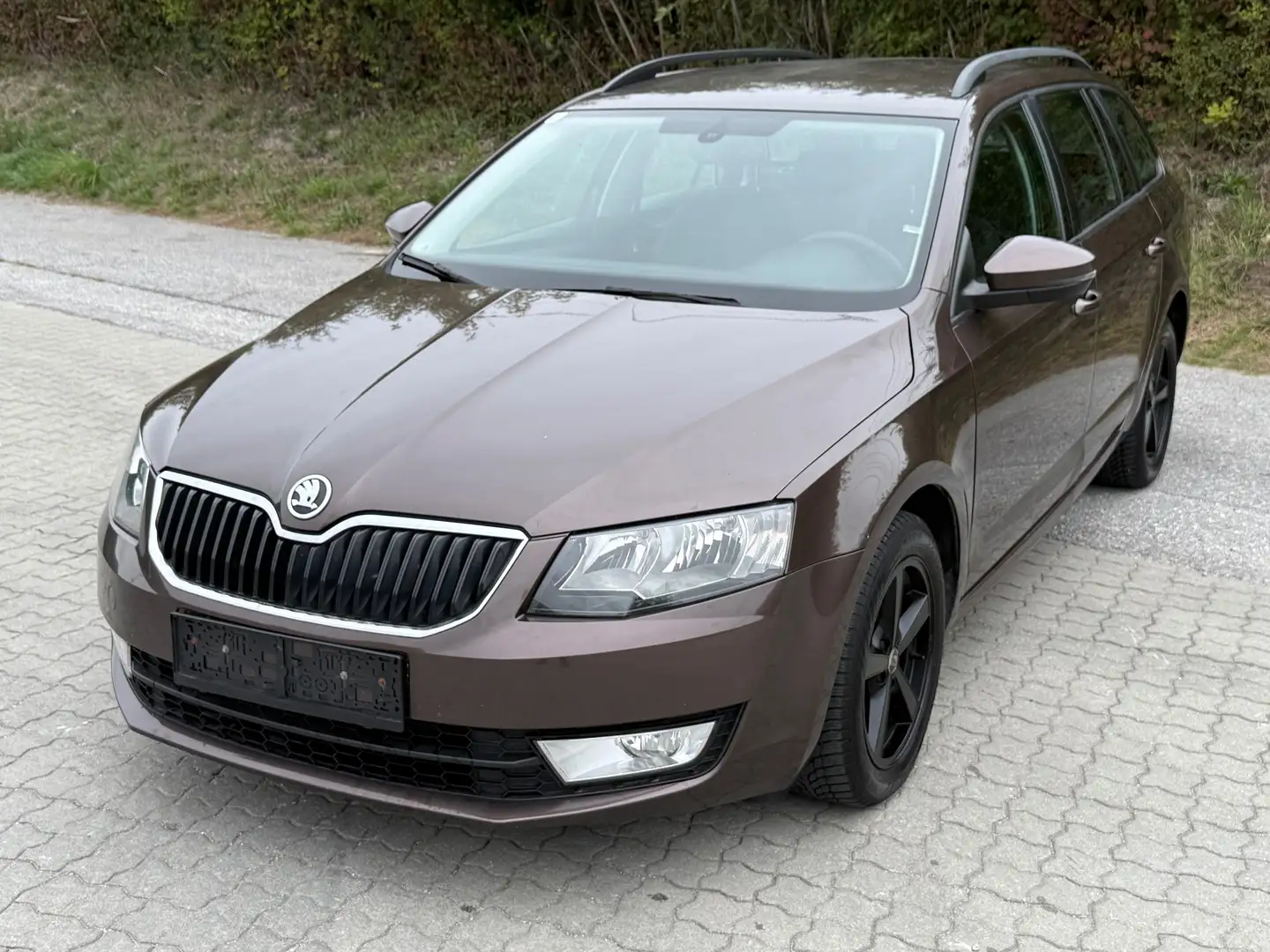 Skoda Octavia Ambition 4x4 Braun - 2