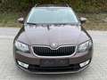 Skoda Octavia Ambition 4x4 Braun - thumbnail 4