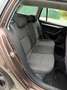Skoda Octavia Ambition 4x4 Braun - thumbnail 16