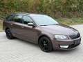 Skoda Octavia Ambition 4x4 Braun - thumbnail 5