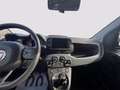 Fiat Panda 1.0 firefly hybrid Cross s&s 70cv 5p.ti Blu/Azzurro - thumbnail 14