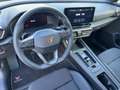 CUPRA Formentor 1.5 TSI DSG Pano LED ACC SHZ PDC Grau - thumbnail 10
