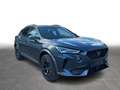 CUPRA Formentor 1.5 TSI DSG Pano LED ACC SHZ PDC Grau - thumbnail 6