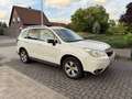 Subaru Forester 4x4 EURO 6 AUTOMAAT FULL OPTION Wit - thumbnail 2