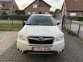 Subaru Forester 4x4 EURO 6 AUTOMAAT FULL OPTION Wit - thumbnail 1