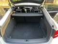 Audi A5 Sportback 2.0 tdi Ambiente Bianco - thumbnail 11