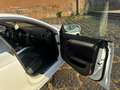 Audi A5 Sportback 2.0 tdi Ambiente Bianco - thumbnail 9