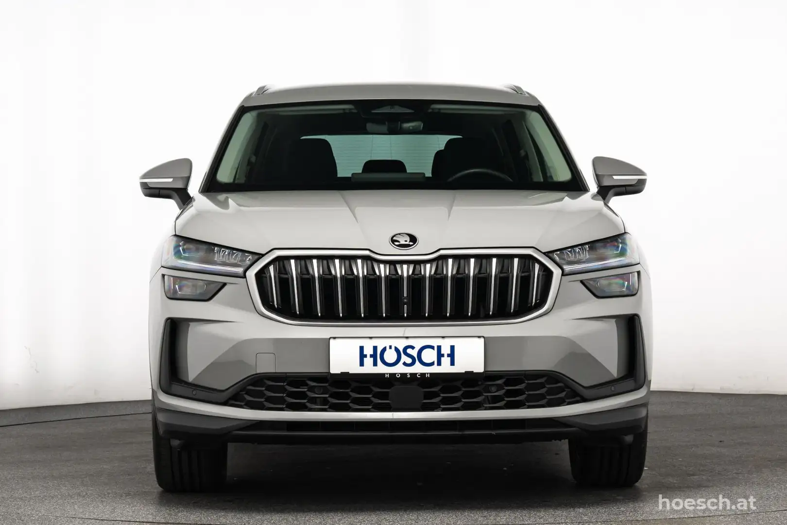 Skoda Kodiaq PHEV Selection MATRIX KOMFORT WINTER DRIVE Grau - 2
