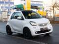 smart forTwo coupe *Garantie*SHZ*Navi*Leder Weiß - thumbnail 3