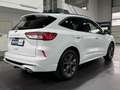 Ford Kuga ST-Line | SHZ | LNKRD-HZ | AHK | Weiß - thumbnail 4