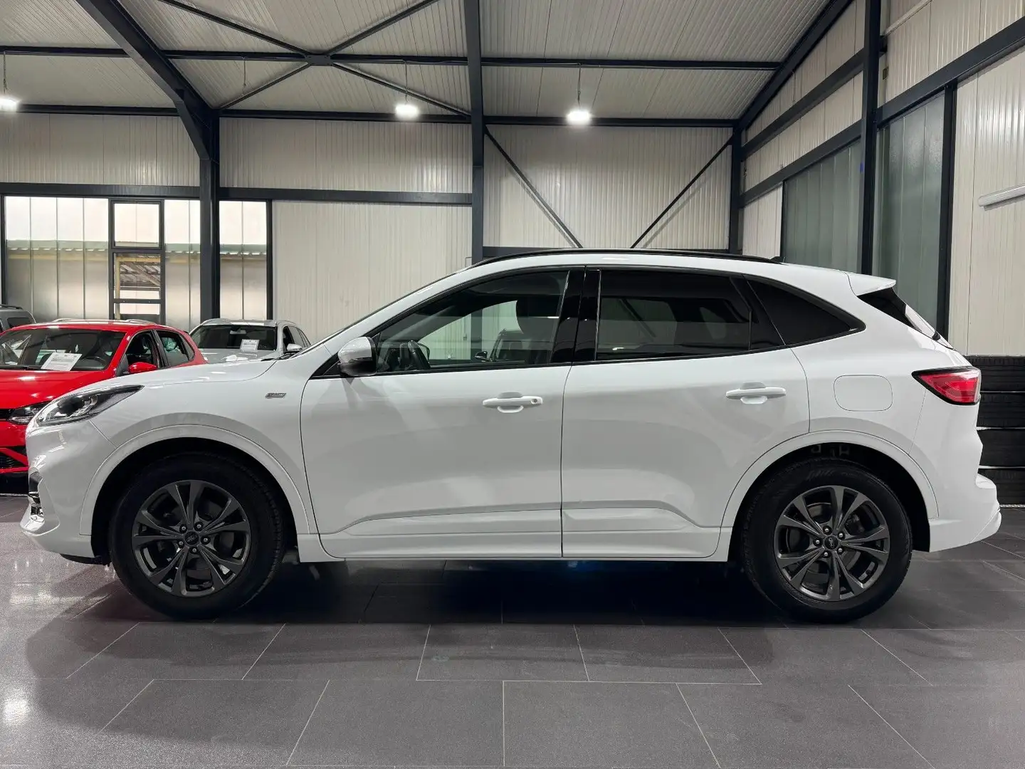 Ford Kuga ST-Line | SHZ | LNKRD-HZ | AHK | Blanc - 2