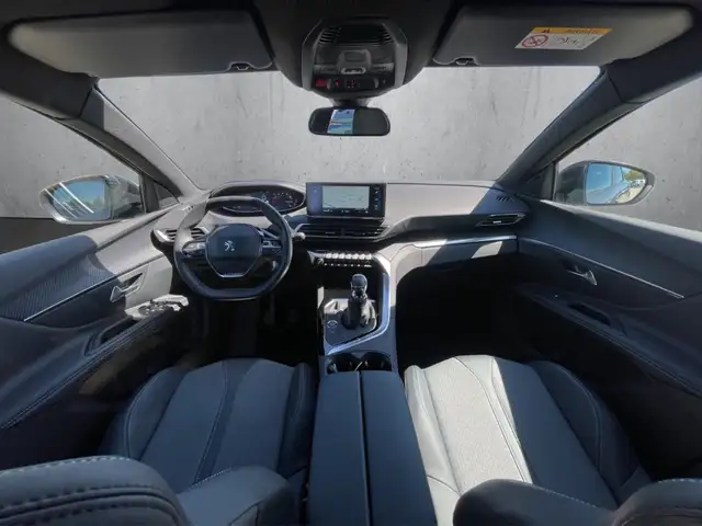 Peugeot 3008 view 12