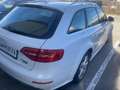 Audi A4 allroad A4 Allroad 2,0 TDI quattro Intense S-tronic Intense - thumbnail 13