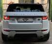 Land Rover Range Rover Evoque 2.0 SD4 SE Dynamic AWD-AHK Weiß - thumbnail 9
