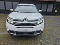 Citroen C5 Aircross C5 Aircross PHEV 1.6 PureTech Shine S Blanc - thumbnail 1