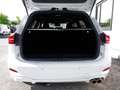 Ford Focus ST-Line MildHybrid ACC+Kamera+ParkAssist Klima Weiß - thumbnail 9