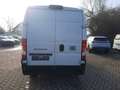 Fiat Ducato Kastenwagen 140 M L3/H2 Navi Kamera Weiß - thumbnail 7