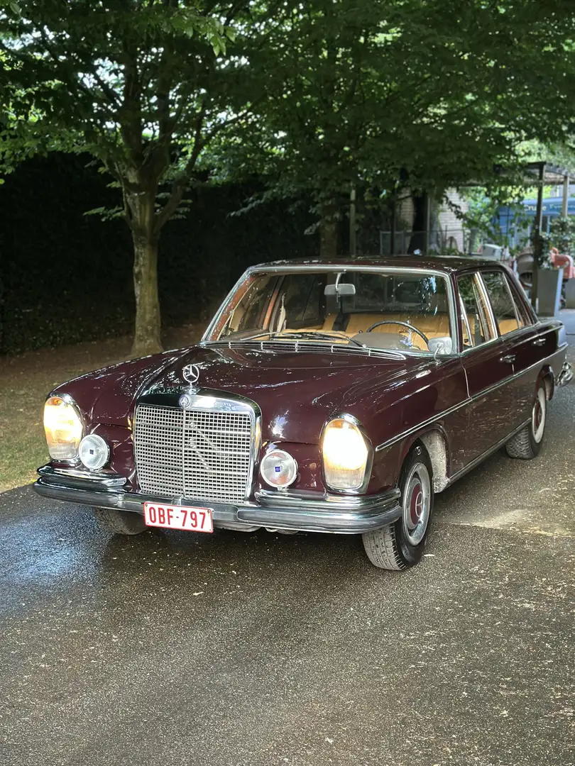 Mercedes-Benz 250 250s Violett - 2