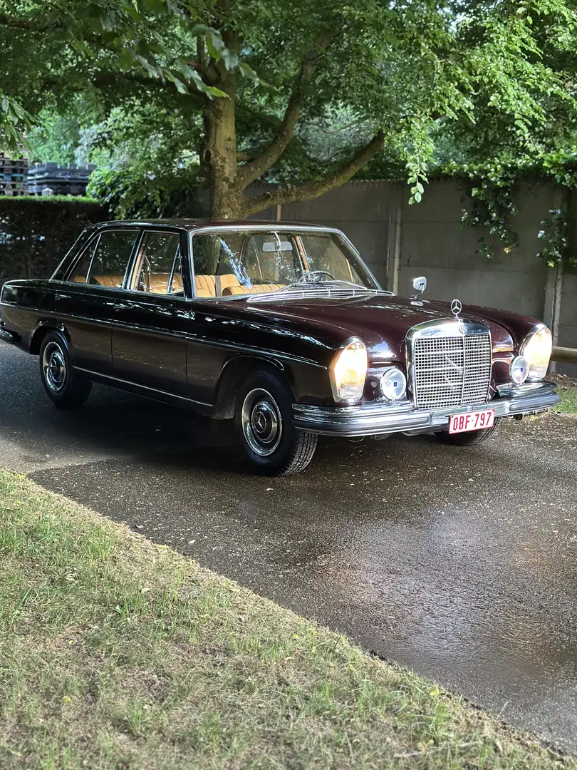Mercedes-Benz 250 250s Violett - 1