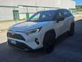 Toyota RAV 4 Rav4 2.5 vvt-ie h Style awd-i 222cv e-cvt Bianco - thumbnail 10
