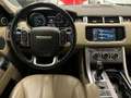 Land Rover Range Rover Sport 3.0 tdV6 HSE auto Euro5b Verde - thumbnail 13