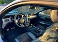 Ford Mustang NO SUPERBOLLO. Fastback 2.3 ecoboost 317cv Bianco - thumbnail 8