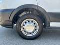 Ford Transit 350 2.0 TDCI MHEV 130 CV L3-RG D.C. Cass. Rib. Blanc - thumbnail 14