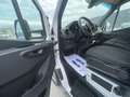Mercedes-Benz Sprinter 314 CDI Cabinato con Sponda Idraulica Euro 6D Bianco - thumbnail 13