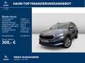 Skoda Karoq 1.5 TSI DSG Selection Navi AHK LED CAM PDC Grau - thumbnail 2