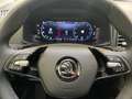 Skoda Karoq 1.5 TSI DSG Selection Navi AHK LED CAM PDC Grau - thumbnail 9