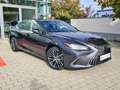 Lexus ES 300 Lexus ES 300h Business Line Grau - thumbnail 3