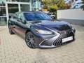 Lexus ES 300 Lexus ES 300h Business Line Grau - thumbnail 1