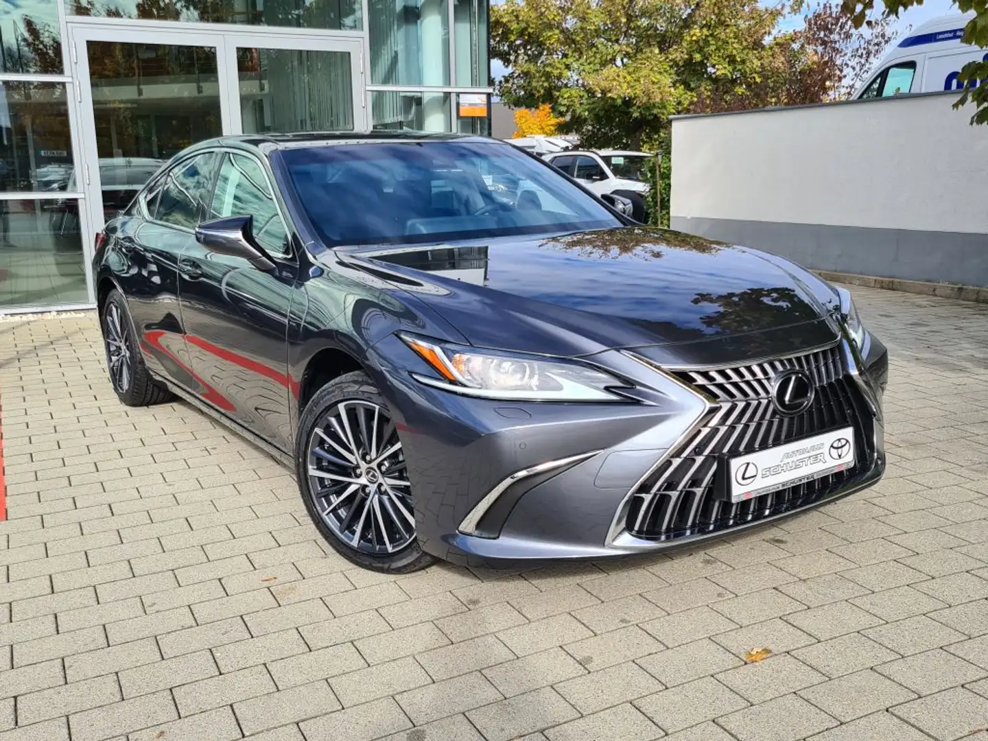 Lexus ES 300 Lexus ES 300h Business Line Grau - 1