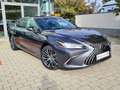 Lexus ES 300 Lexus ES 300h Business Line Grau - thumbnail 2