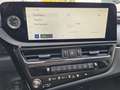 Lexus ES 300 Lexus ES 300h Business Line Grau - thumbnail 13