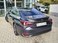 Lexus ES 300 Lexus ES 300h Business Line Grau - thumbnail 7