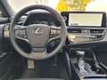 Lexus ES 300 Lexus ES 300h Business Line Grau - thumbnail 11