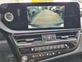Lexus ES 300 Lexus ES 300h Business Line Grau - thumbnail 14